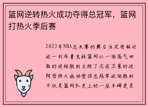 篮网逆转热火成功夺得总冠军,篮网打热火季后赛