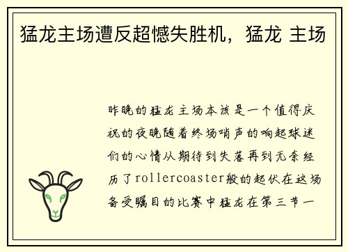 猛龙主场遭反超憾失胜机,猛龙 主场