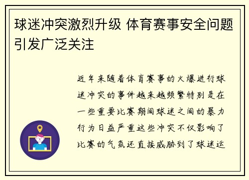 球迷冲突激烈升级 体育赛事安全问题引发广泛关注